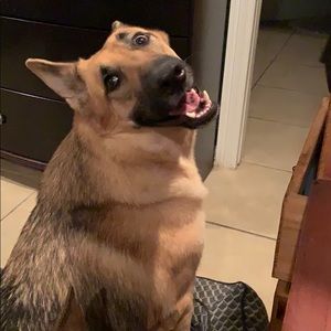 Meet your Posher, William